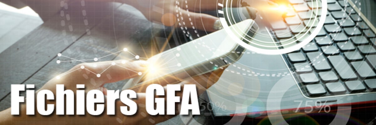 Fichiers GFA